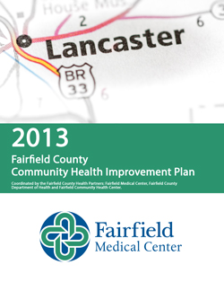 2013 Community Health Improvement Plan