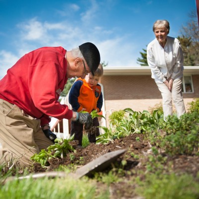 Senior man and young grandson planting flowers