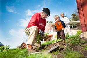 Senior heart patient planting flowers with wife and grandson