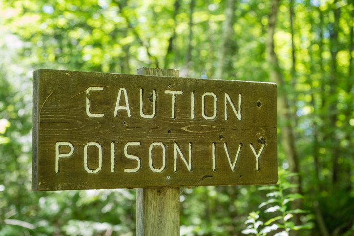 poison ivy wooden sign