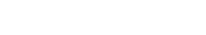 THE MISSION